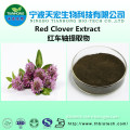 100% natural red clover extract/red clover tea extract